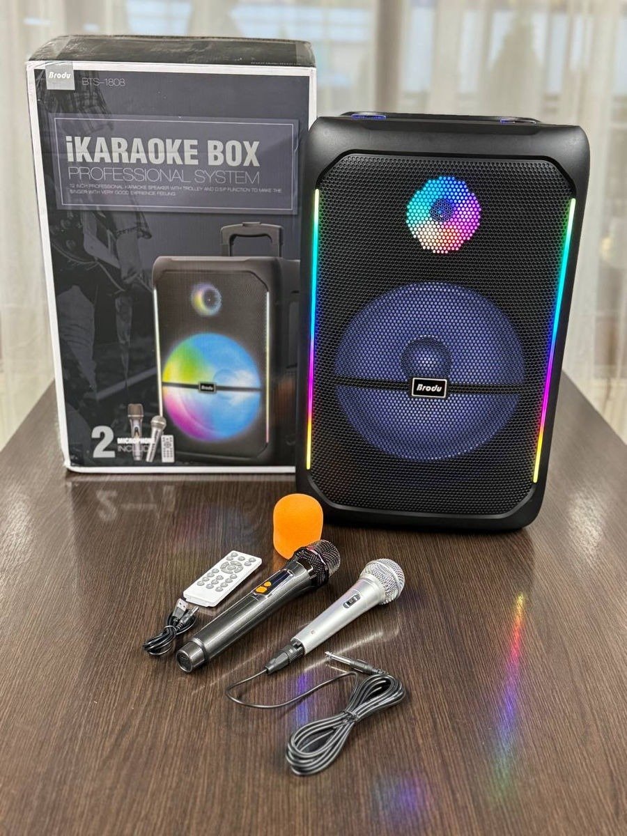 Brodu BTS -1808 portable heavy bass Bluetooth karaoke speaker